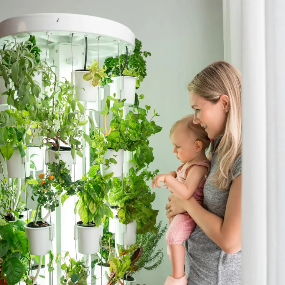 Indoor Hydroponic Garden