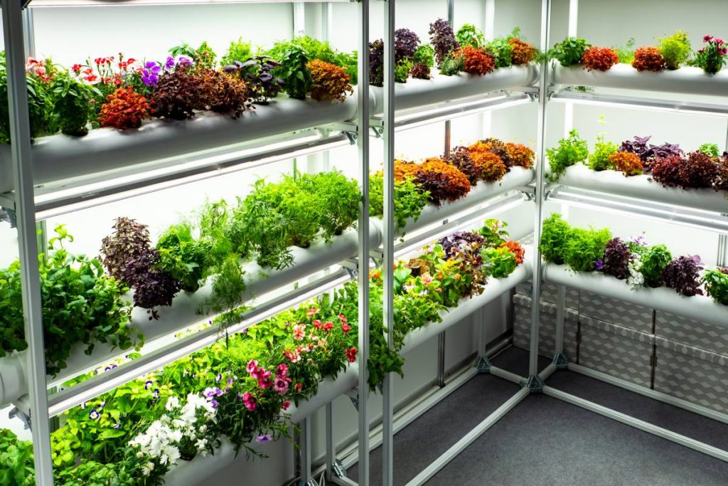 Indoor Hydroponic Garden