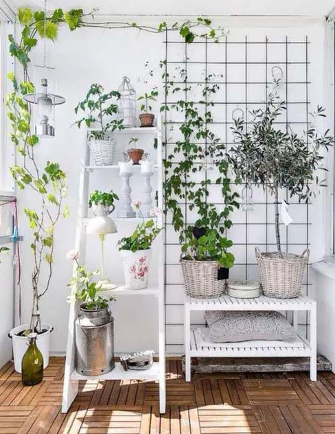 Indoor vertical garden