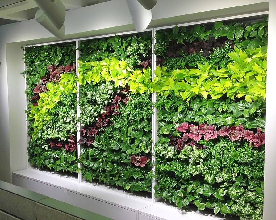 Indoor wall garden