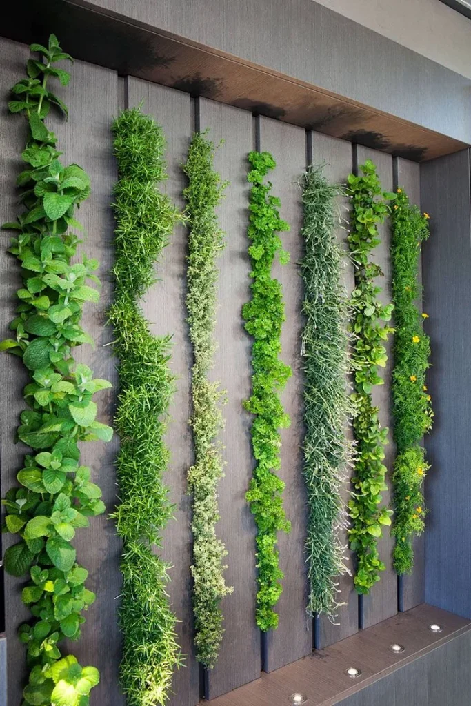 wall garden