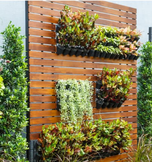 outdoor vertical garden 