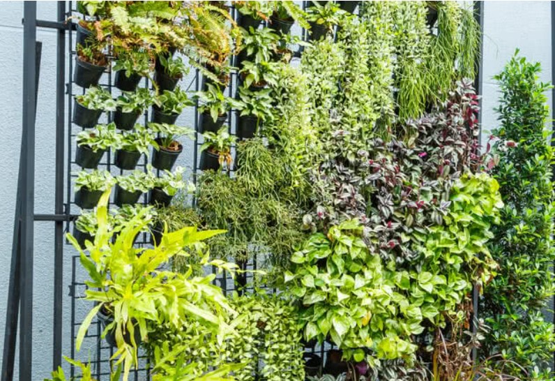 Vertical Garden