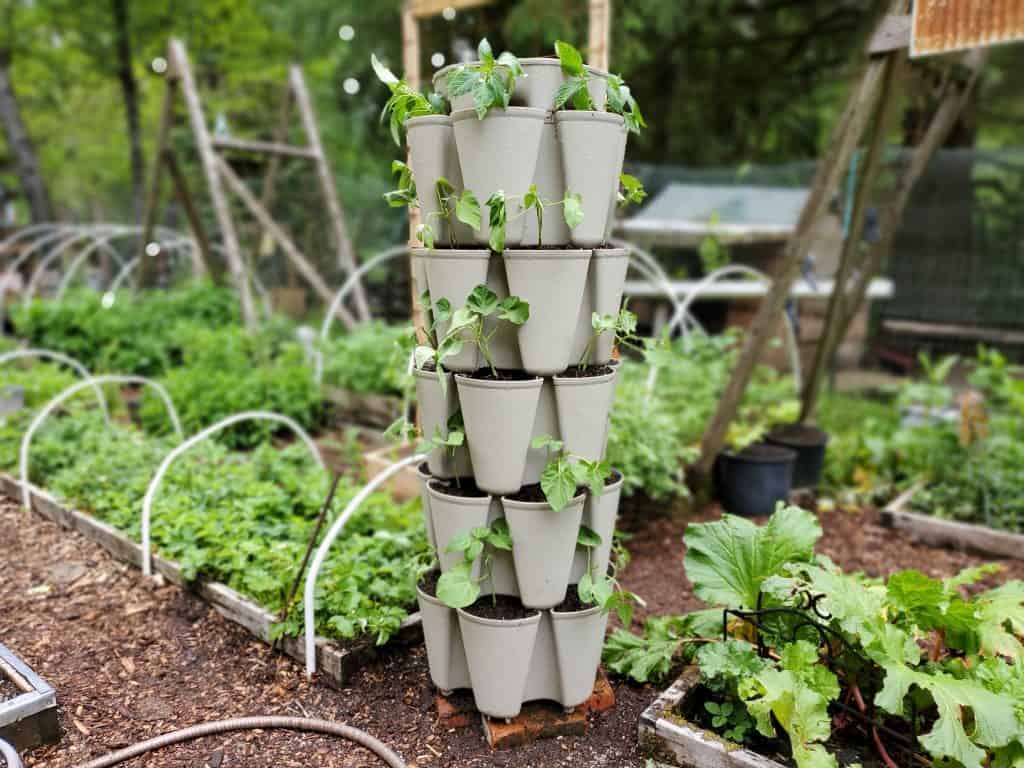 Vertical Garden Towers