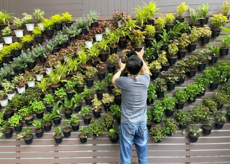 Vertical Garden