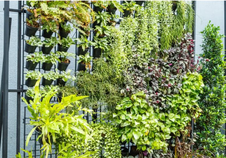 outdoor vertical garden 