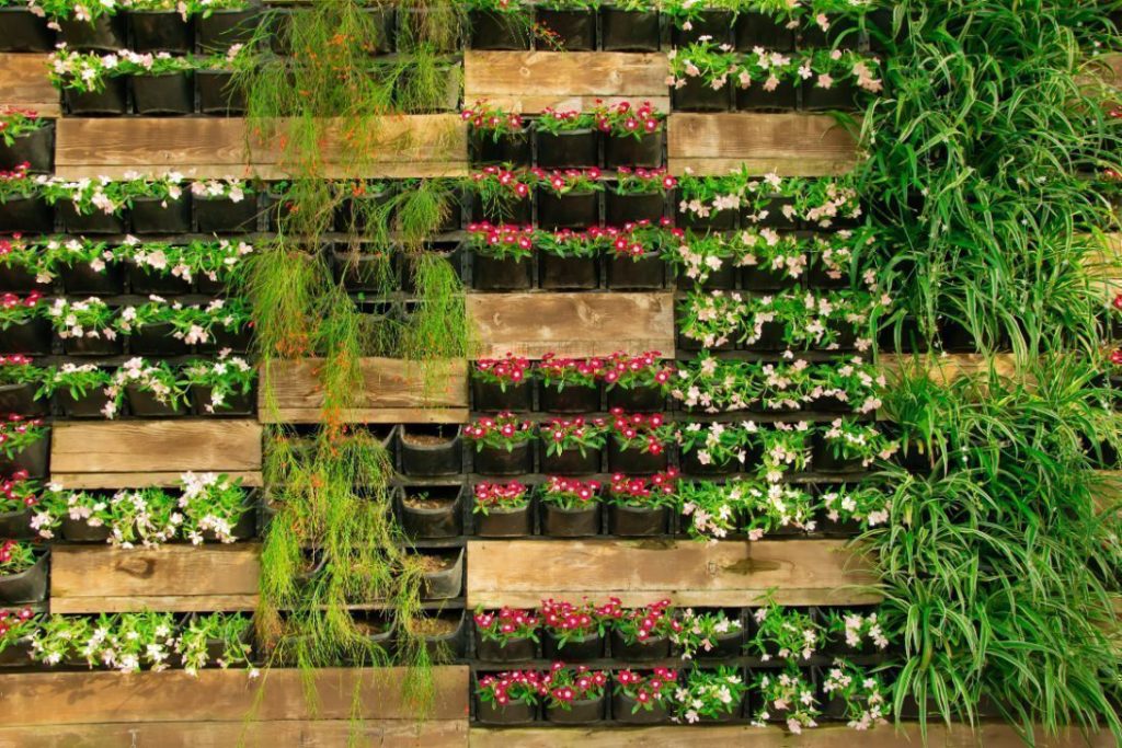 outdoor vertical garden 