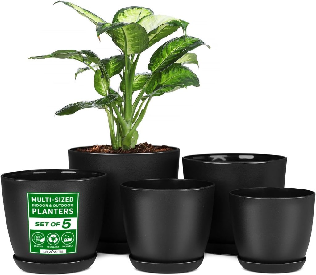 Indoor Plants Pots