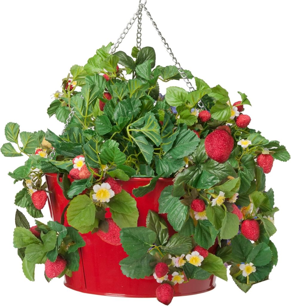 Hanging Strawberry Baskets