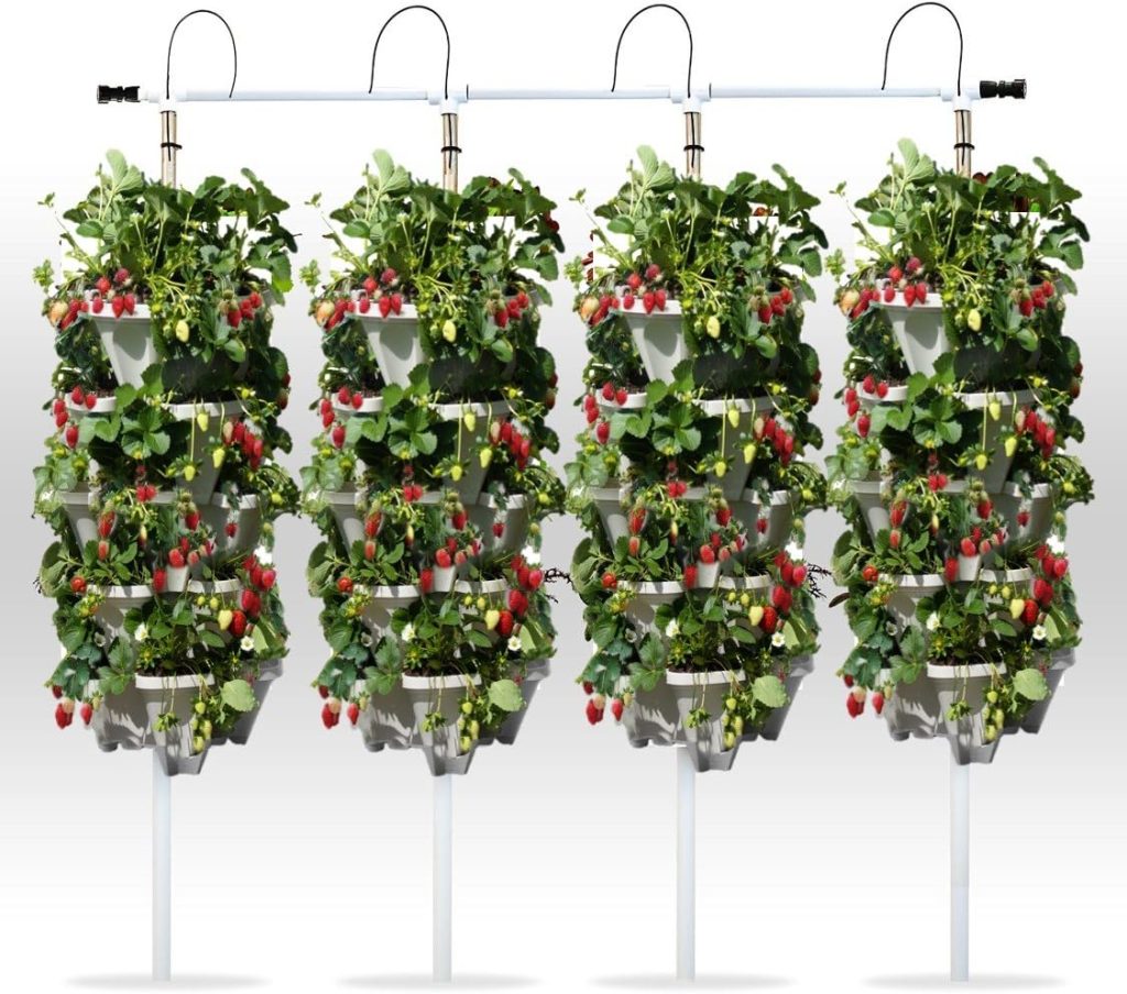 Hanging Strawberry Baskets