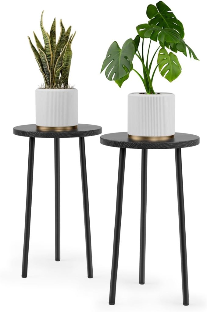 Indoor Plants Stand