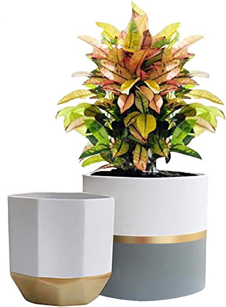 Indoor Flower Pots