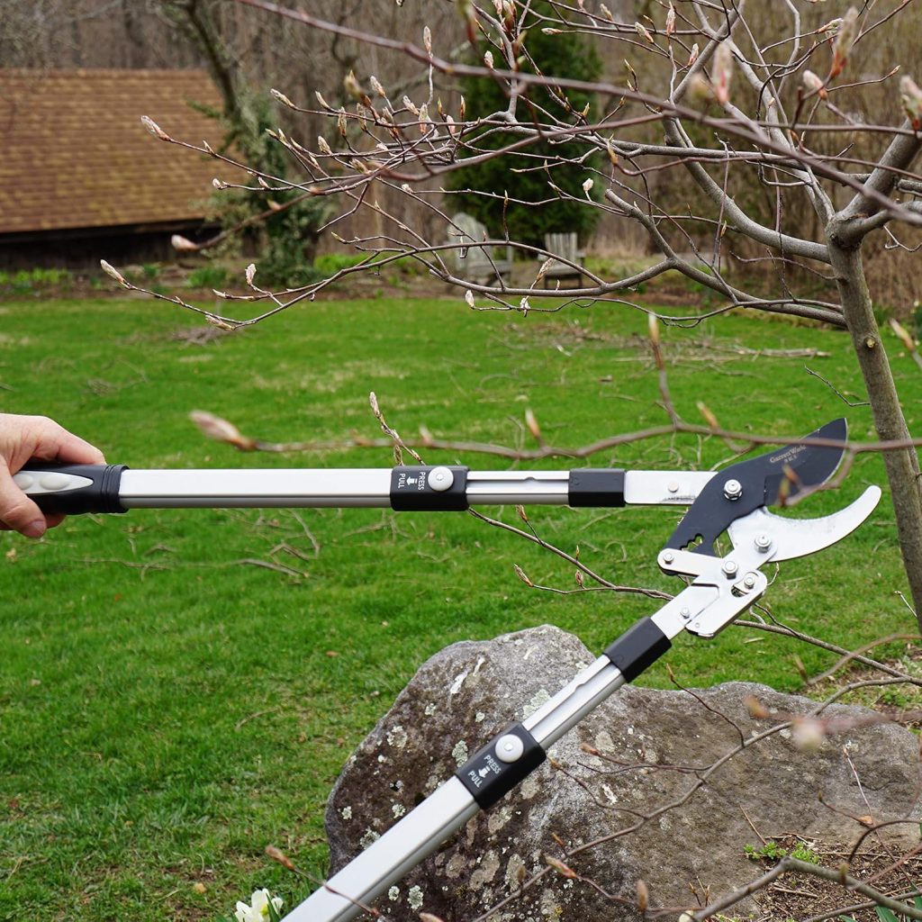 Tree Trimming Pruning