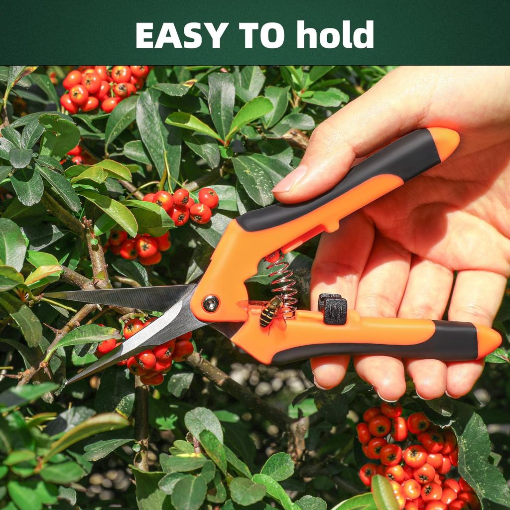 Scissors For Gardening