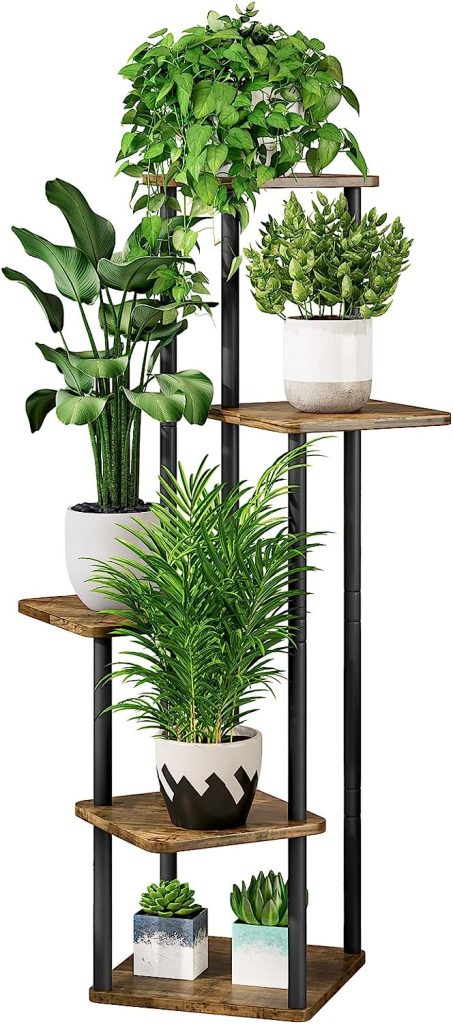  Indoor Plants Stand