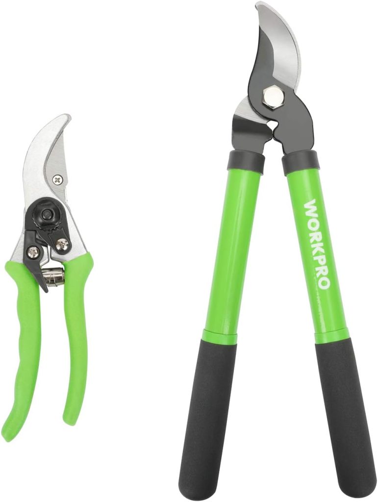 Tree Pruning Tools