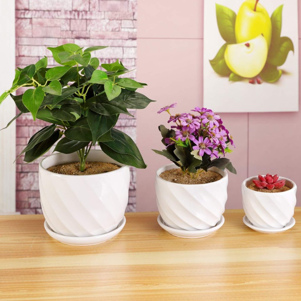 Indoor Flower Pots