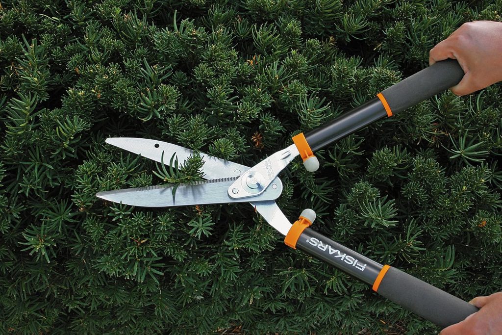 Shears For Garden