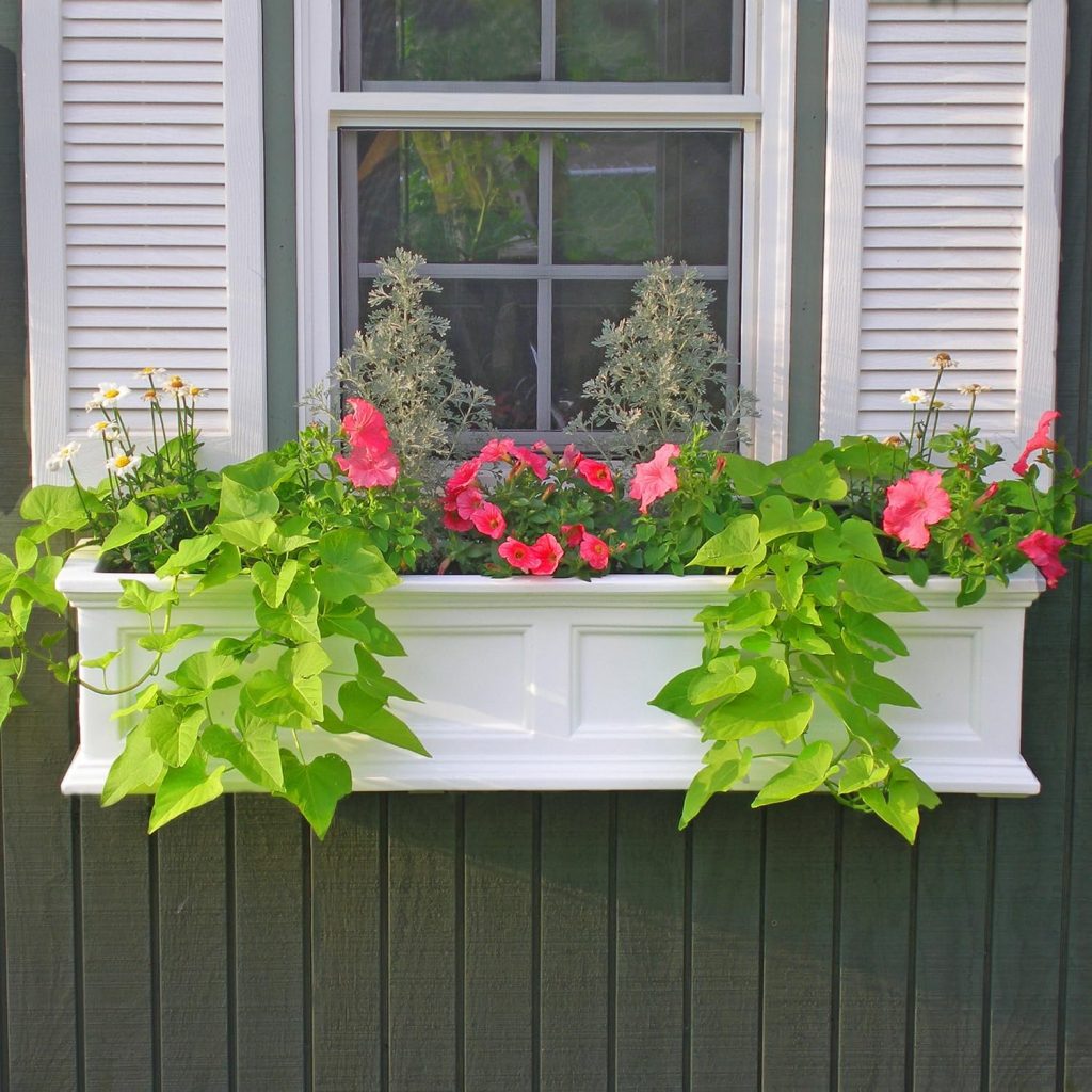 Planter Boxes Window