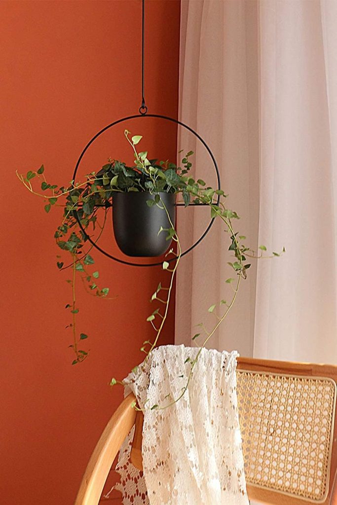 wall hanging planter outdoor