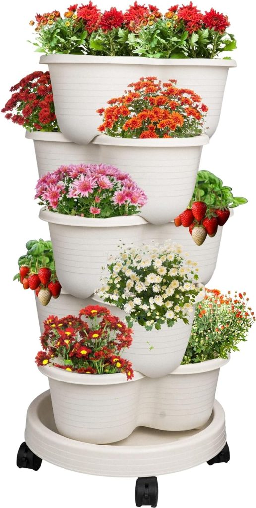 Hanging Strawberry Baskets