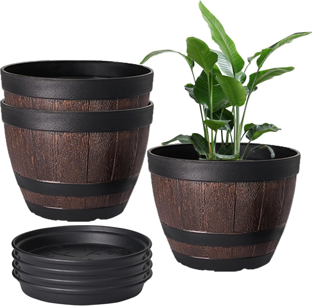 Pots For Indoor Plants