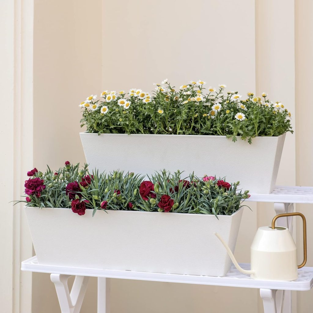 Box Planter Ideas