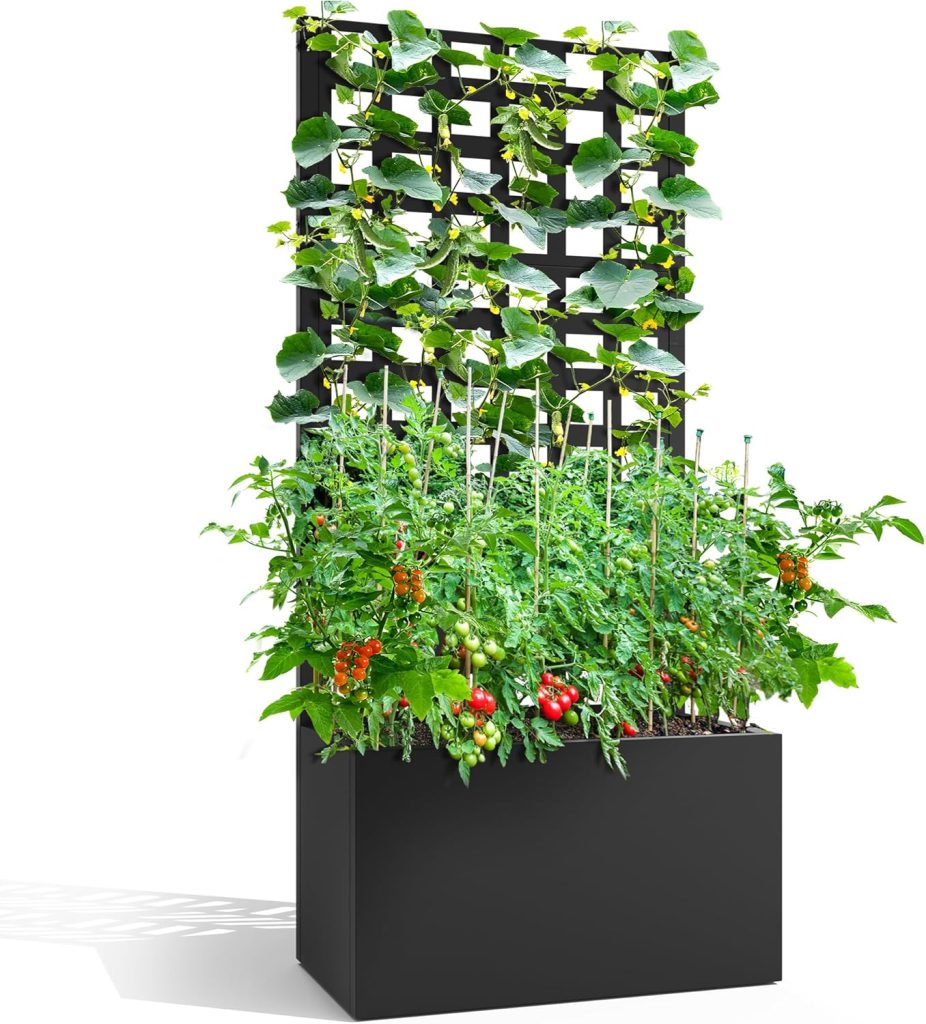 Planter Boxes With Trellises