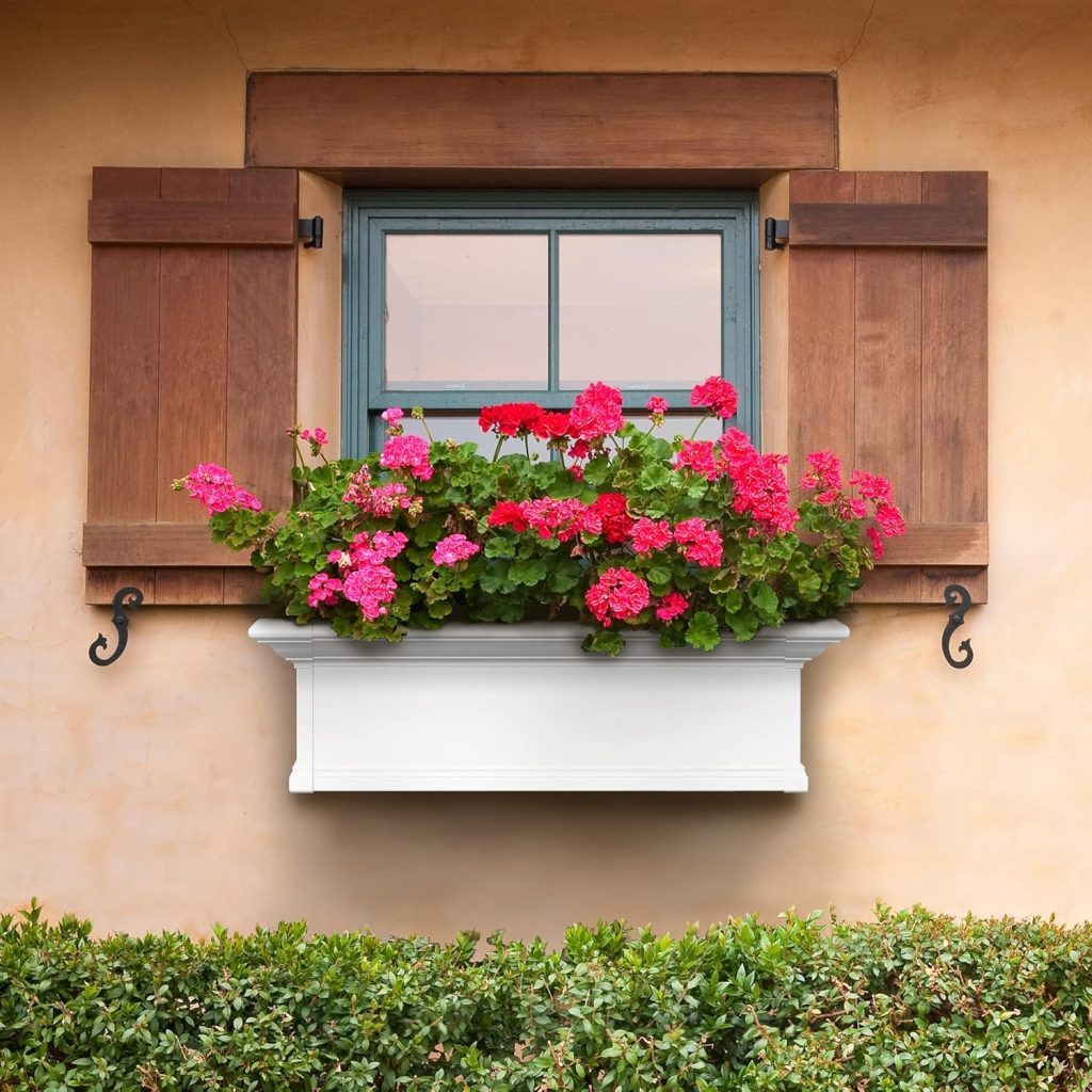 Planter Boxes Window