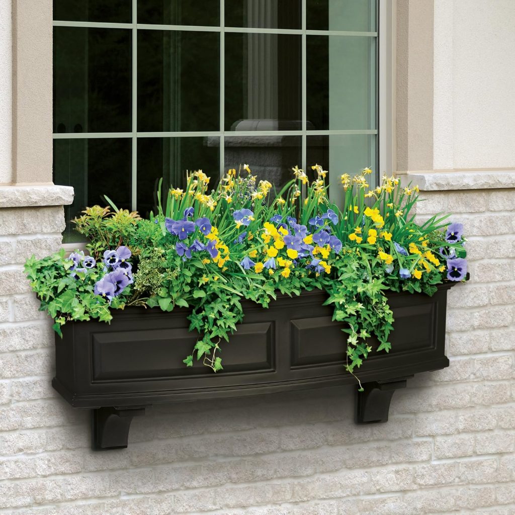 Planter Boxes Window