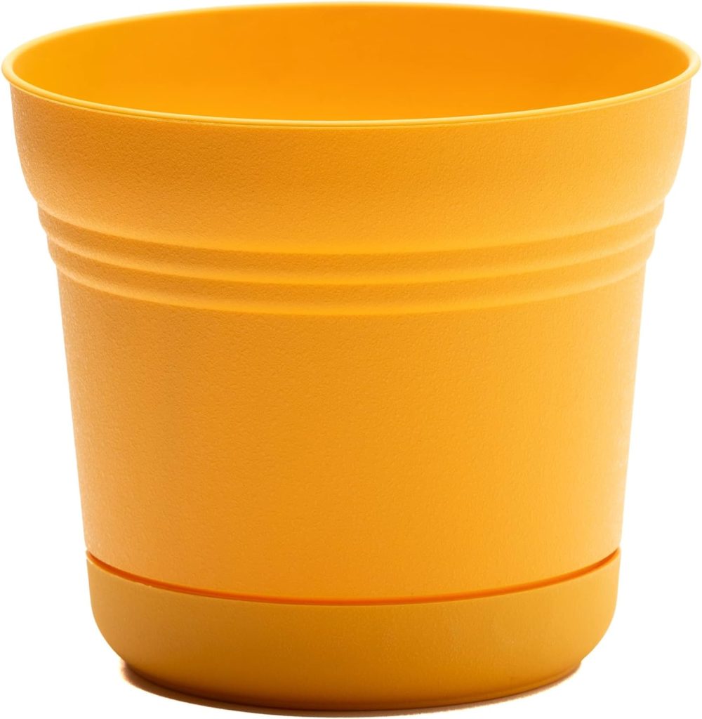 Plastic Pot For Plant