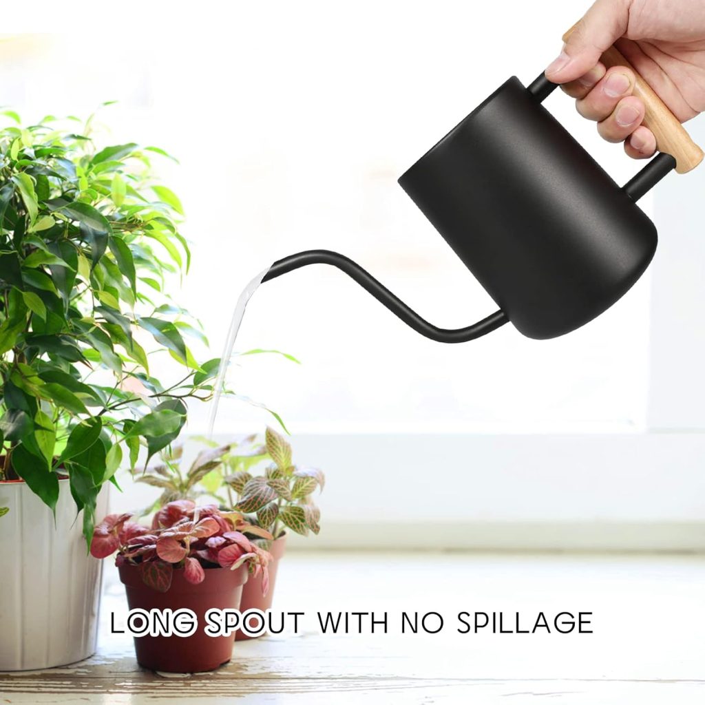 indoor Plant Watering Can