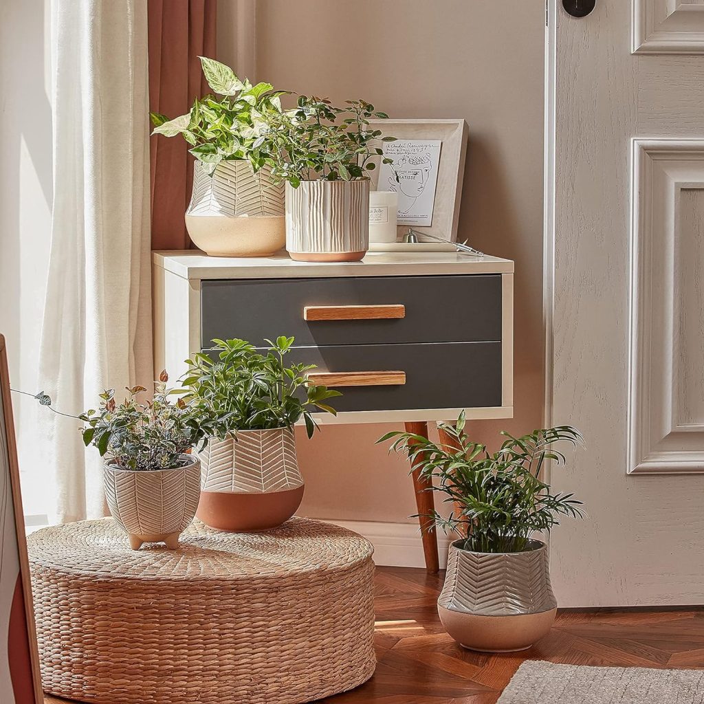 Indoor Plants Pots 