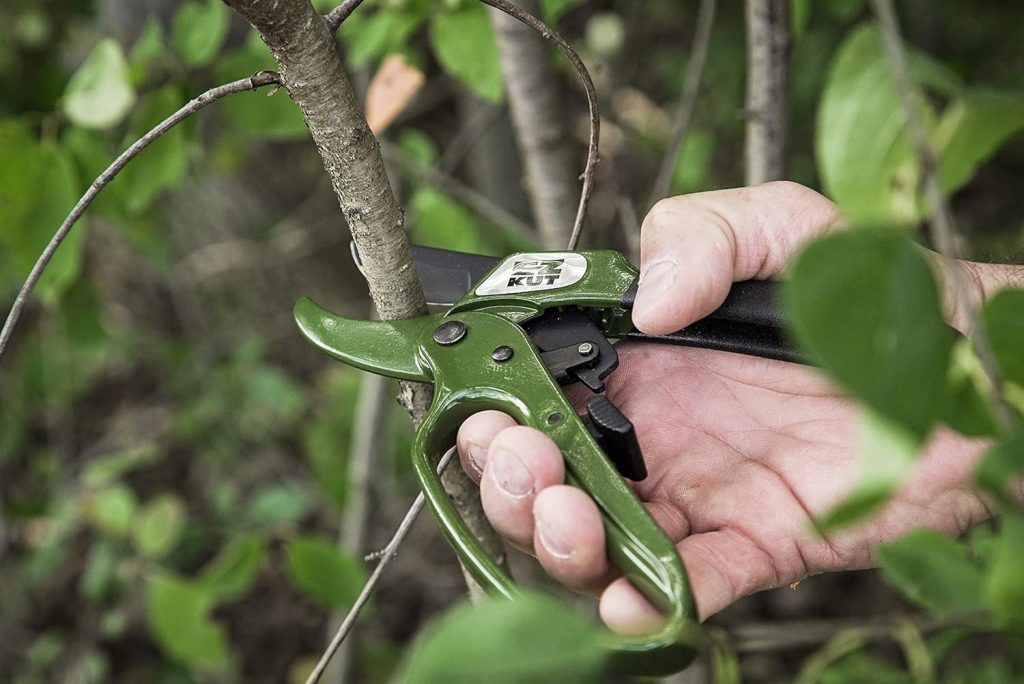 Best Garden Pruners