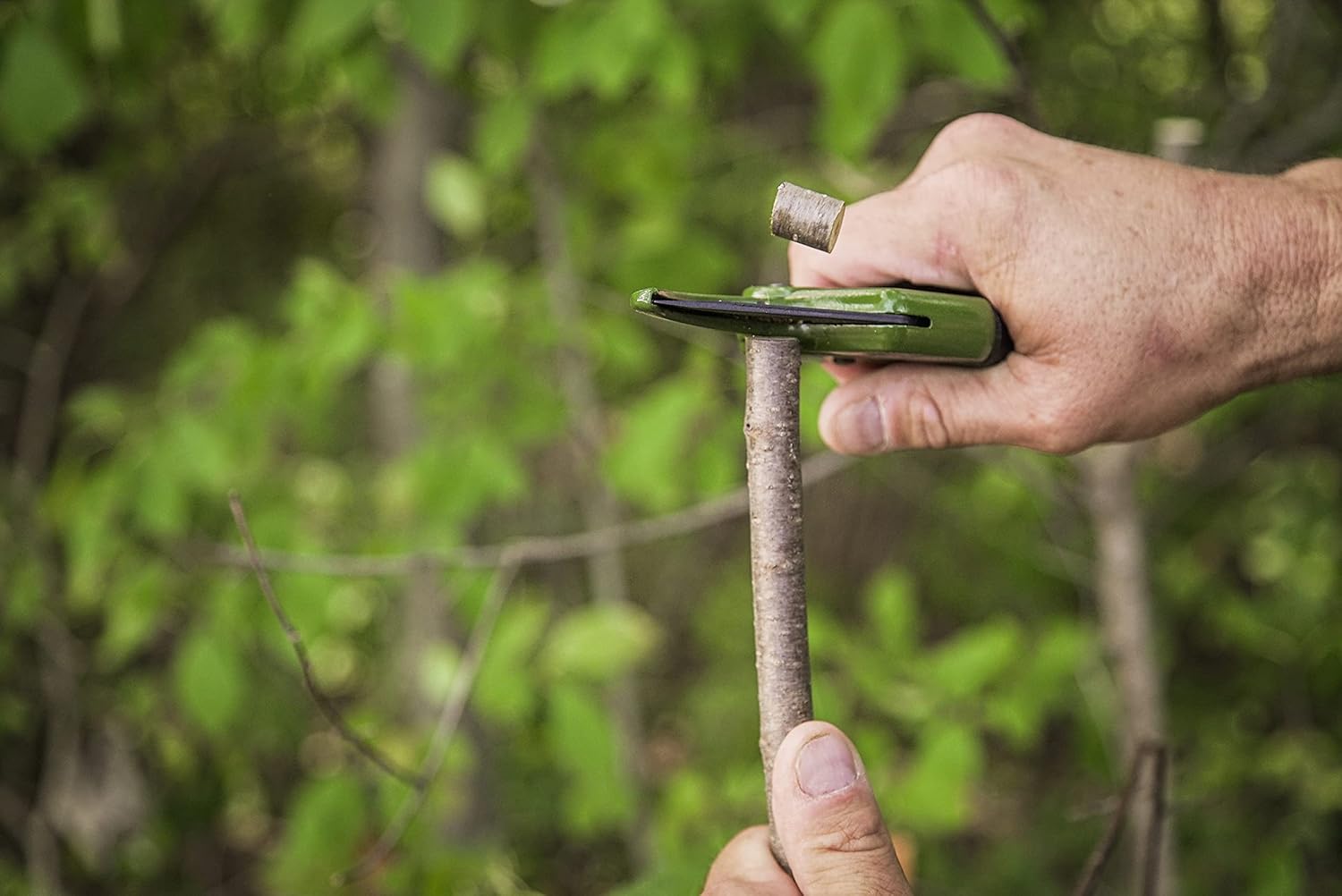 Best Garden Pruners