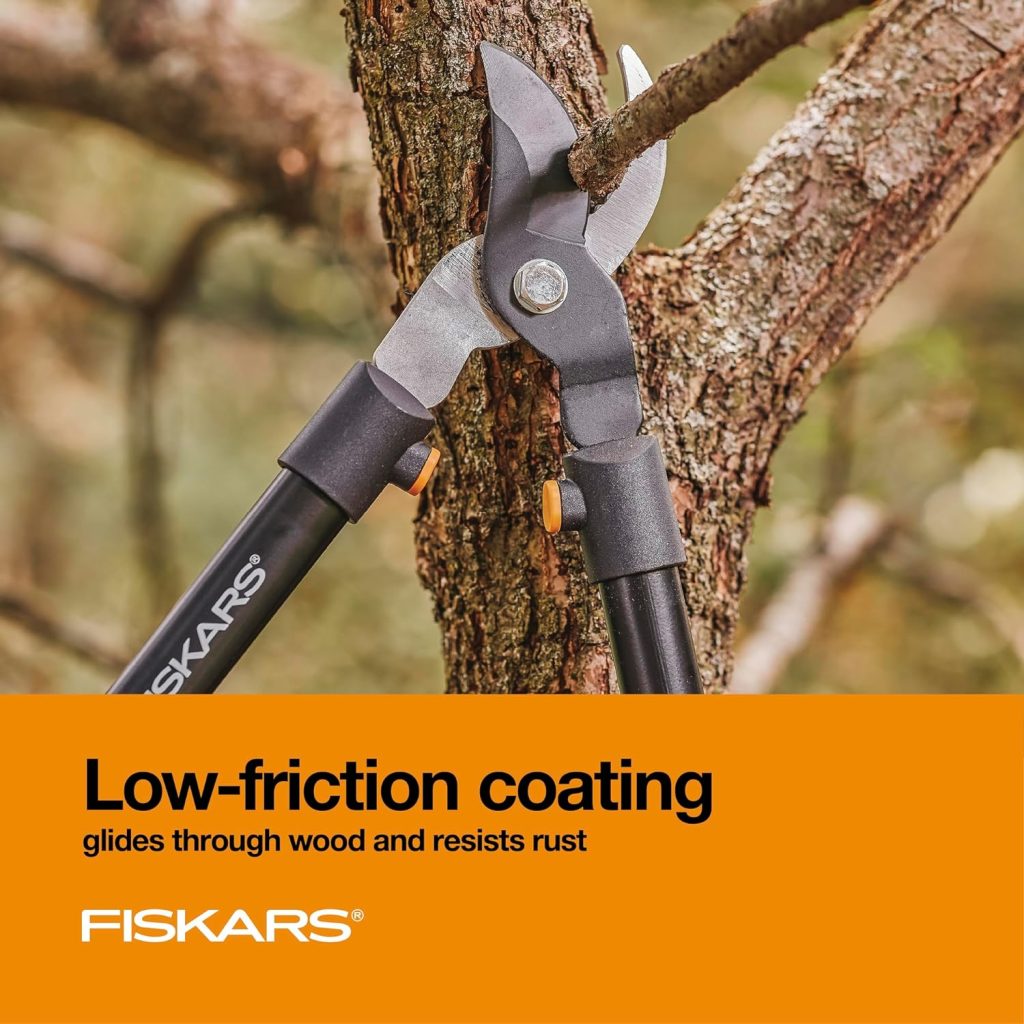  tree pruning tools