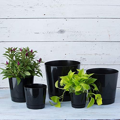  plant pot sizes 