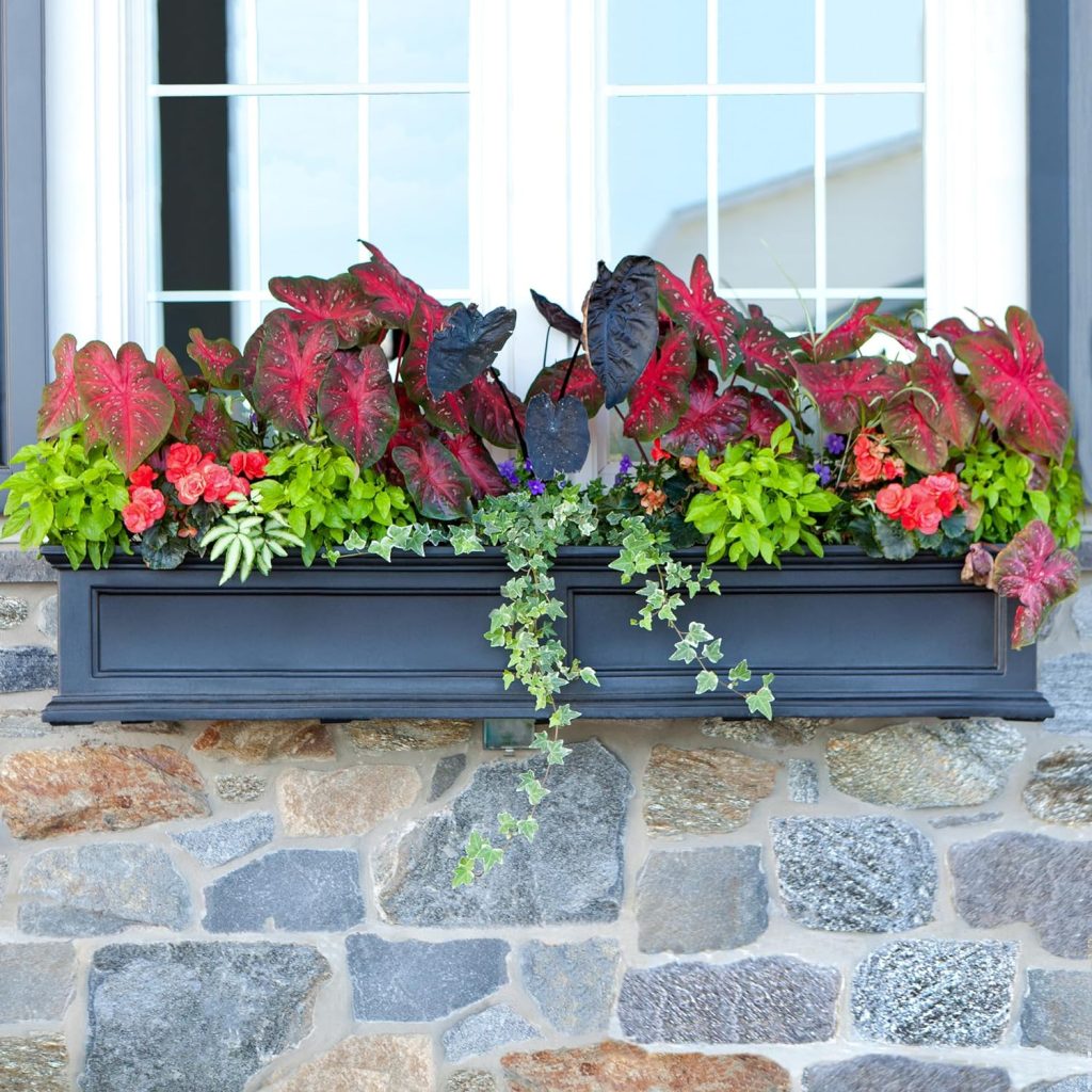 Flower Boxes For Windows