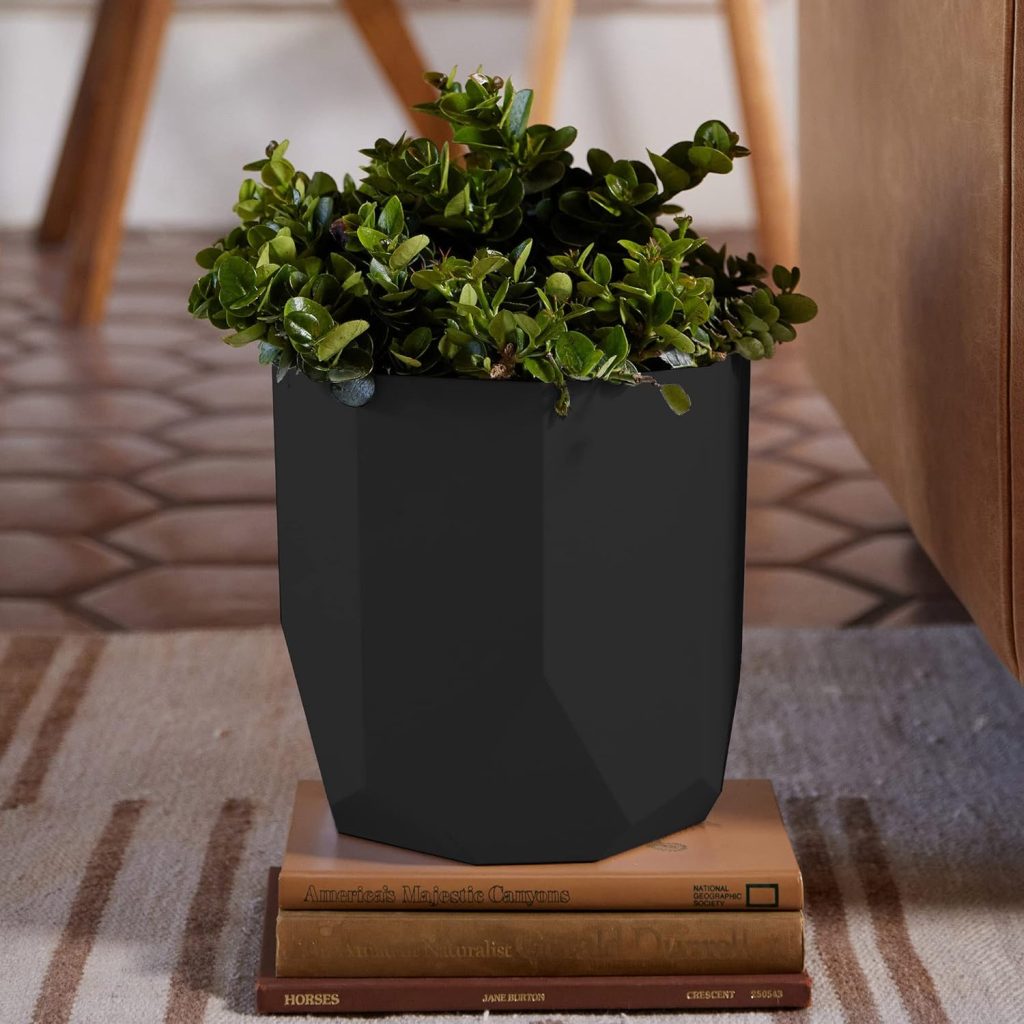 Indoor Plants Pots