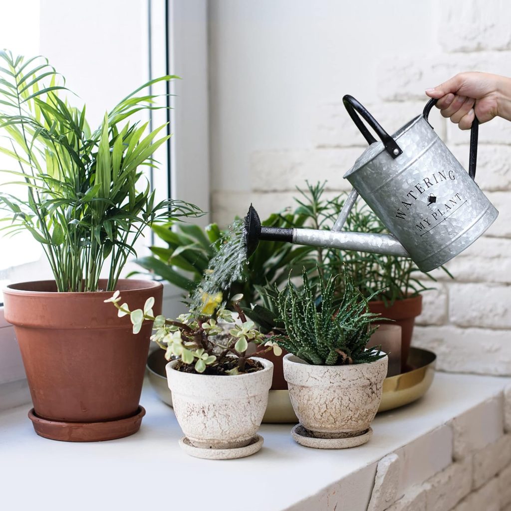 indoor Plant Watering Can