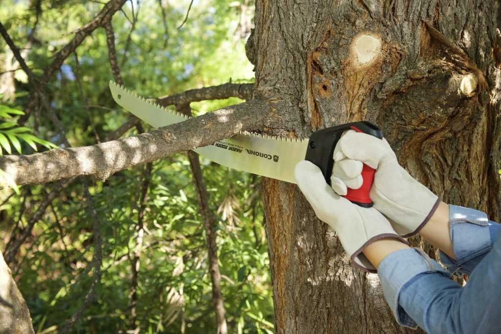 Tree cutting saw