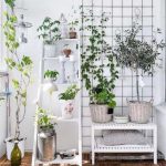 Indoor vertical garden: how to build an indoor vertical garden