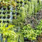 Vertical Garden: Creating Vertical Gardens in Urban Spaces