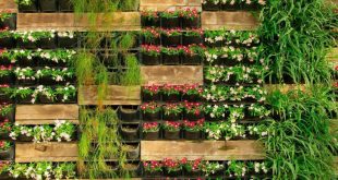 outdoor vertical garden