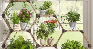 indoor plant stands for multiple plants