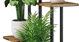 Indoor Plants Stand