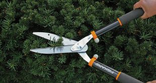 Shears For Garden