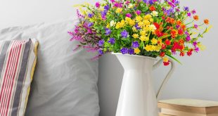 Flowers In Window Boxes