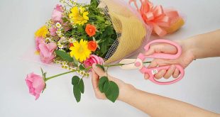 Scissors For Flowers