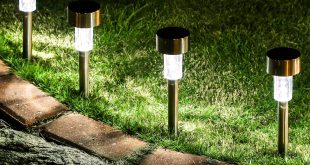 best solar garden lights